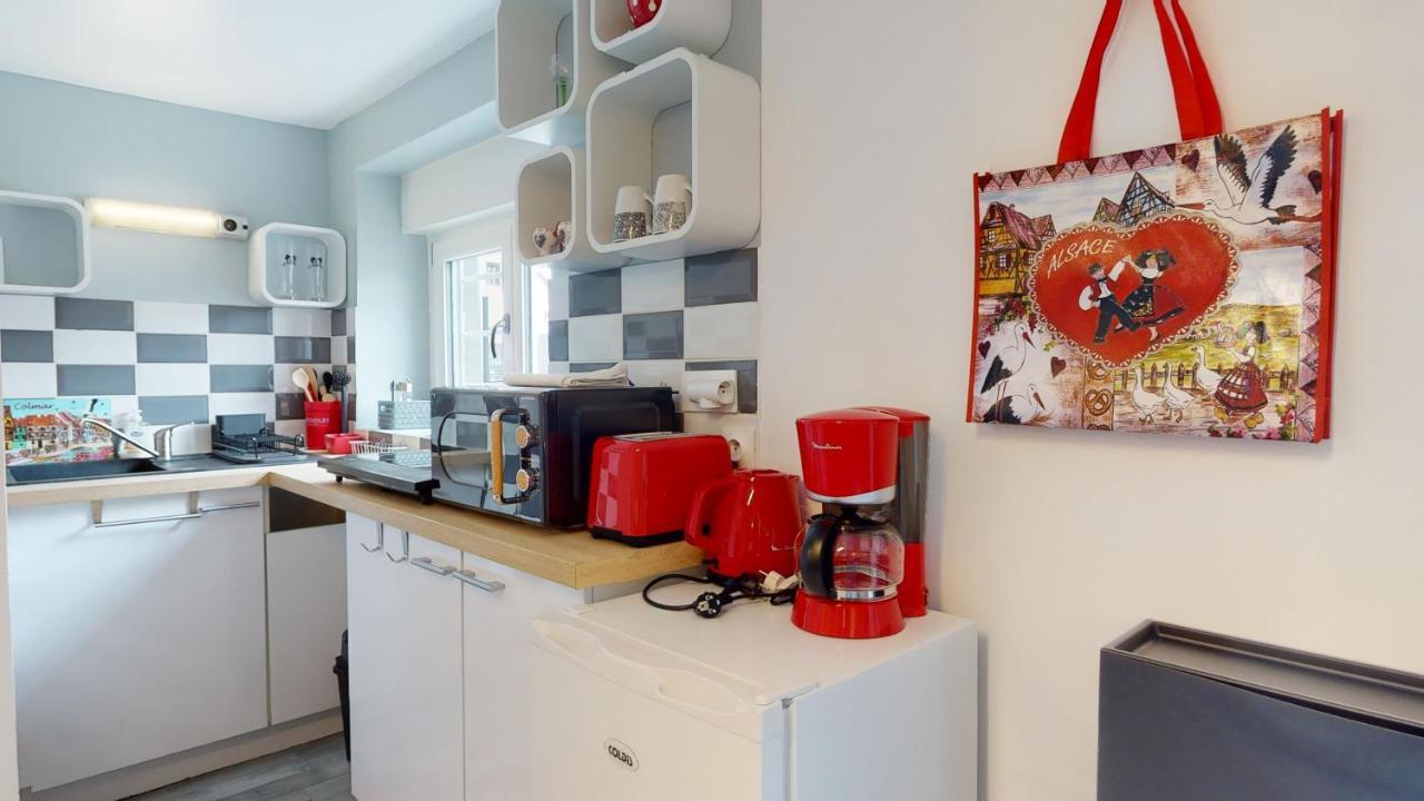 Studio Avec Parking Rue De La Semm Колмар Екстериор снимка