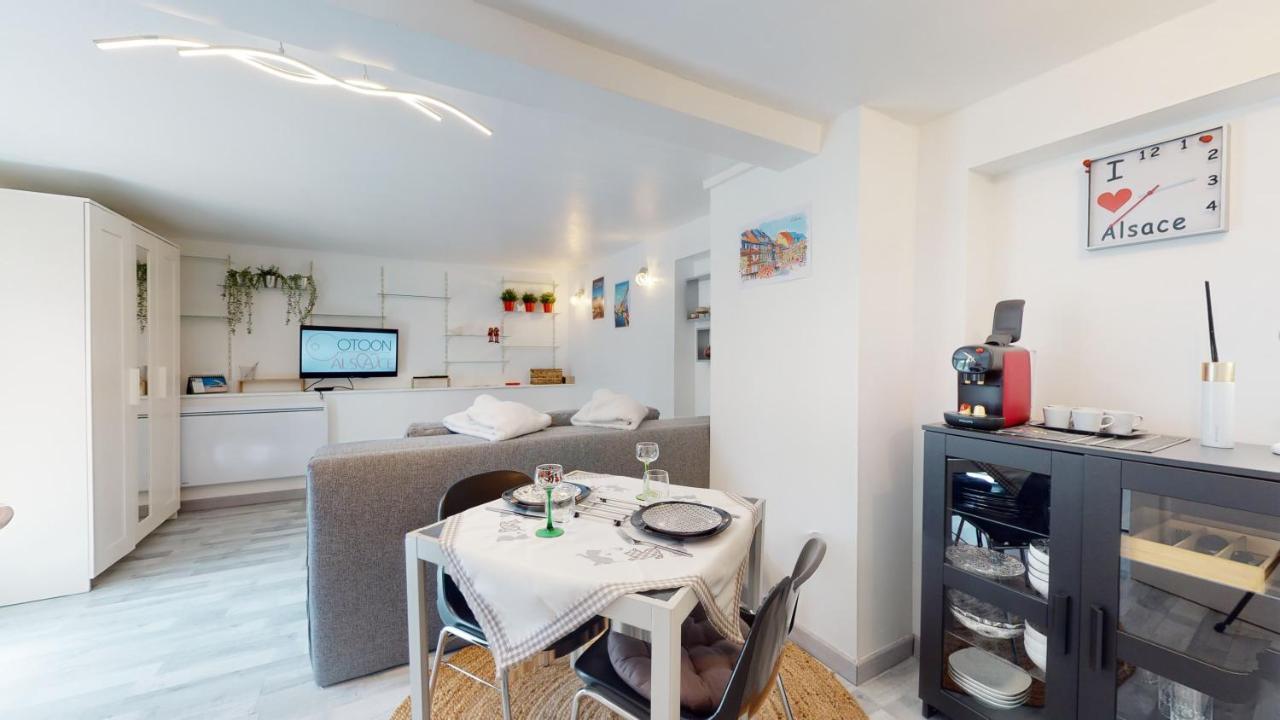 Studio Avec Parking Rue De La Semm Колмар Екстериор снимка